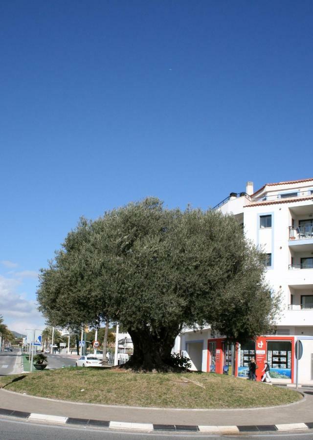 Appartement Monica Moraira Esterno foto